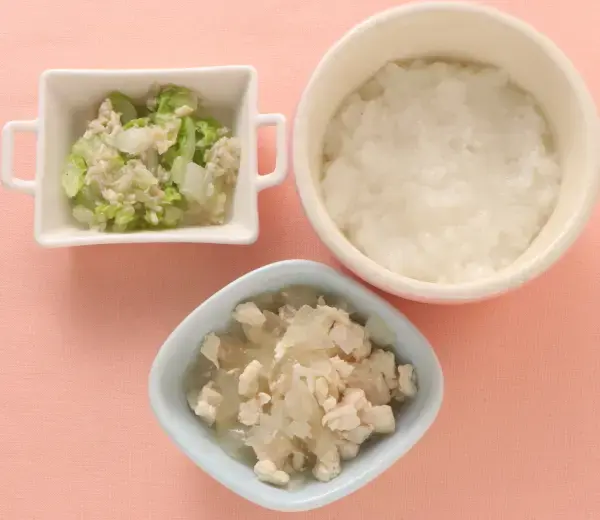 鶏肉と玉葱の煮もの