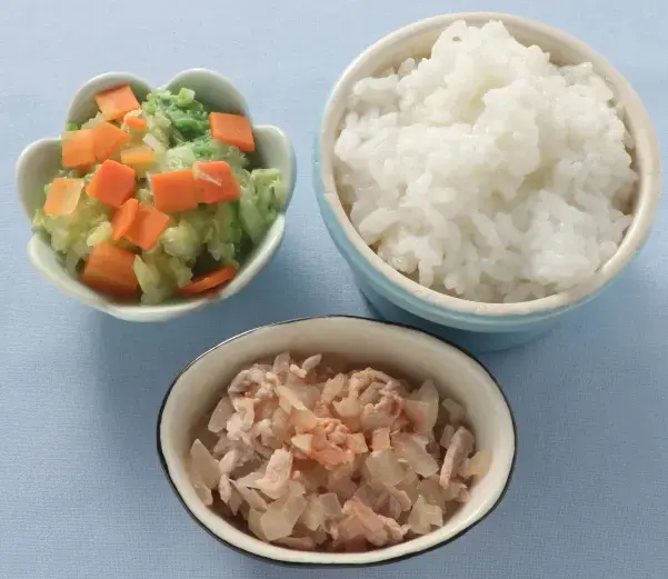 豚肉と玉葱のケチャップ煮