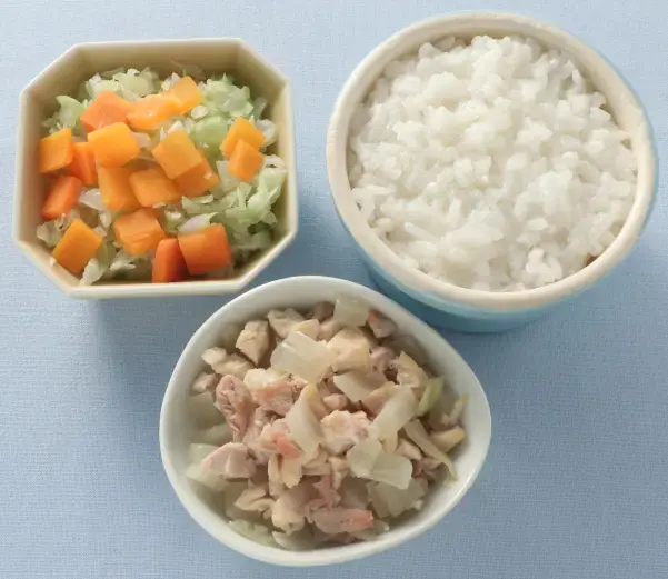 鶏肉と玉葱の煮もの