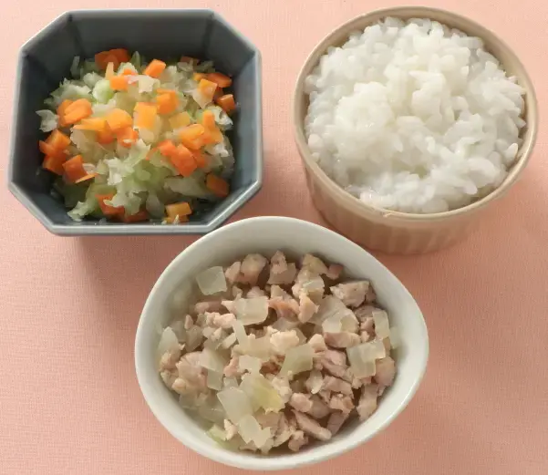 鶏肉と玉葱の煮もの