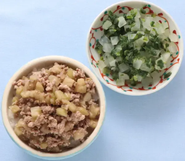 ミートライス 大根とレタスのサラダ