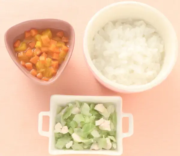 鶏肉とキャベツのレンジ蒸し パンプキンサラダ