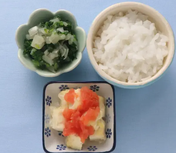 豆腐ステーキ トマトソースがけ