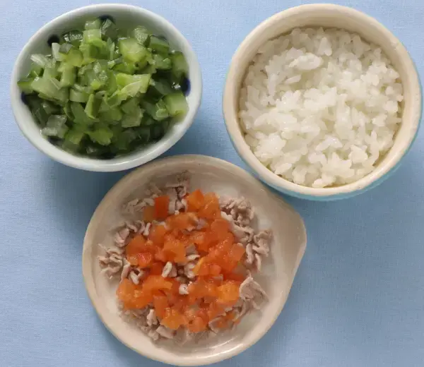 豚肉のトマトソースがけ