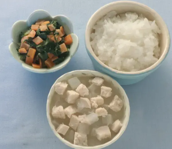 鶏肉と玉葱の煮もの