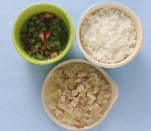 鶏肉と玉葱のレンジ蒸し